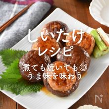 「しいたけ」レシピ36選｜煮ても焼いても◎うま味を味わう