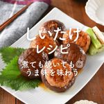 「しいたけ」レシピ36選|煮ても焼いても◎うま味を味わう