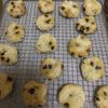 ももの作ってみた!投稿(カリッモチッと新食感がクセに♡生おからと米粉のチョコクッキー)