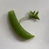 【豆×豆の意外なおいしさ！】スナップえんどうのきな粉和えの工程1