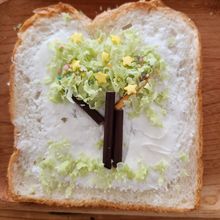 子供と作ろう♪ふわふわチョコの木パン【包丁いらず】