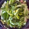 材料ふたつで副菜！《小松菜と魚肉ソーセージのオイスター炒め》の工程4