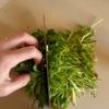 【豆苗春巻き】具材はレンチンでパパッと！の工程1