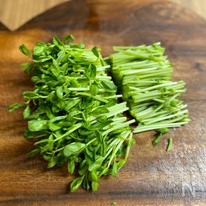 豆苗の豚バラ巻きレンジ蒸し】タレも絶品♡お手軽おかず♬︎ | レシピ