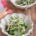 うま塩きゅうりの薬味和え【作り置き】