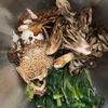 『舞茸とほうれん草の胡麻和え』栄養満点♪ダイエット美容にも♡の工程2