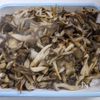 キノコの風味が美味しい「ペペロンチーノ」の工程9