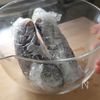 【なすのみぞれ豚しゃぶ】体喜ぶ♪さっぱりおかずの工程1