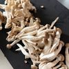 【ふんわり豆腐ハンバーグ】和風トマト煮の工程2