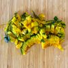 材料ふたつで副菜！《かぼちゃと搾菜のうま辛和え》の工程1