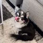えなりん