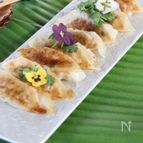 ビールにぴったり！パクチー餃子