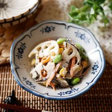 『根菜たっぷり』ひじきと彩り野菜のごまマヨサラダ