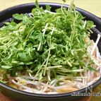 【もやしと豆苗の絶品！キムチ鍋】野菜高騰対策に！
