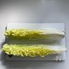 【うま味を活かす♪】塩揉み白菜と米粉のお好み焼の下準備