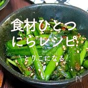 食材ひとつ「にらレシピ」10選｜とりこになる