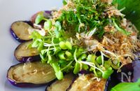 簡単無限 なすごまポン酢 By 簡単料理研究家 服部みどり レシピサイト Nadia ナディア プロの料理家のおいしいレシピ