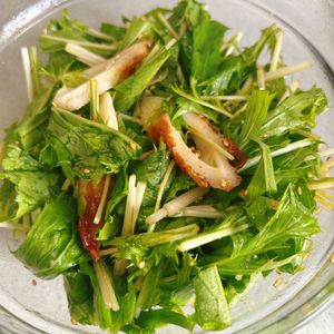 サラの作ってみた!投稿(ぱぱっと3分！和えるだけ♪「水菜とちくわのポンコチュサラダ」)
