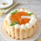 「まるごと果実」あんずのシャルロットケーキ