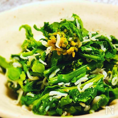 簡単すぎる!5分で出来る菜の花とシラスの生姜和え