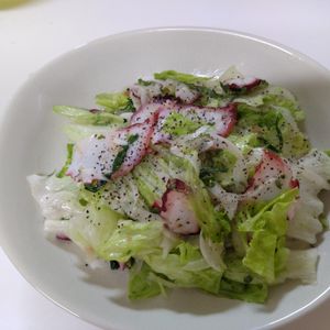 みふりーもの作ってみた!投稿(初夏の疲労回復に!【レタスと新玉ねぎとたこの梅レモンサラダ】)