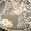 ねぎポンだれ♪ひらひらきゅうりの豚しゃぶサラダの工程2