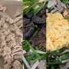 きくらげ卵入り・豚こまで【青椒肉絲】の工程3