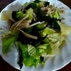 ぽぽペの作ってみた!投稿(キャベツとえのき《にんにくごま味噌サラダ》)