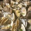 otoの作ってみた!投稿(【あさりの白ワインバター蒸し】フライパン1つ♪10分で完成)