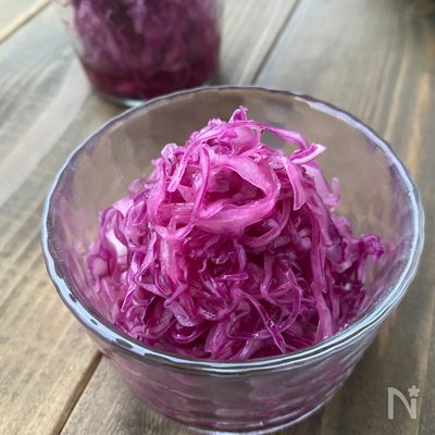 付け合わせやお弁当にも！紫キャベツの鮮やかマリネ