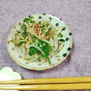 M＊Pの作ってみた!投稿(早い安いうまい！もやしと豆苗の梅肉和え)