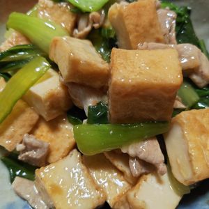 RINAの作ってみた!投稿(【厚揚げと青梗菜の挽肉炒め】生姜でさっぱり！味付け簡単で旨☆)