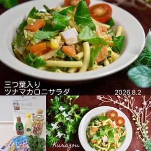 クラ蔵の作ってみた!投稿(【三つ葉入りツナマカロニサラダ】ハマるわさびマヨ♪レンチン！)