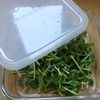 マヨなし ポテサラ革命の工程8