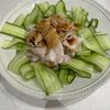 はなうざーの作ってみた!投稿(【雲白肉風冷しゃぶサラダ】安いお肉で柔らか×トゥルトゥル～！)