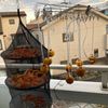 そら・ゆずの作ってみた!投稿(《秋の味♪》干し柿)