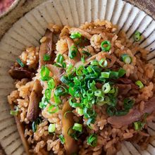 【豚バラとごぼうと切り干し大根の炊き込みご飯】簡単・オススメ