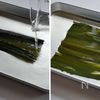 【鮭の甘塩焼き】スキマ時間にサクッと仕込んで寝かせるだけ♪の工程2