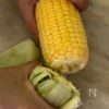 プロに聞いた【とうもろこしの茹で方】の下準備