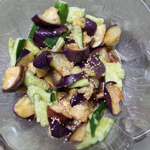 鶏皮坊主の作ってみた!投稿(やみつき！【たたききゅうりとなすの特製ぽん酢和え】)