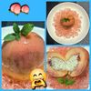 サトちゃんの作ってみた!投稿(まるごと桃のコンポート♡アールグレイクリーム入り)