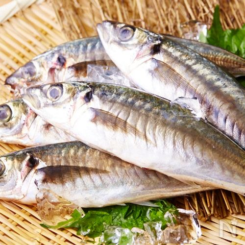 あじ のさばき方の基本 下処理の手順とコツ レシピサイト Nadia ナディア プロの料理家のおいしいレシピ