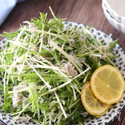 モリモリ食べられる 水菜としらすのガーリックレモンサラダ レシピサイトnadia モリモリ食べられる 水菜としらすのガーリックレモンサラダ レシピサイトnadia