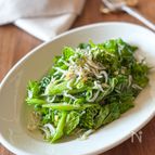 生がおいしい【菜の花のペペロンサラダ】