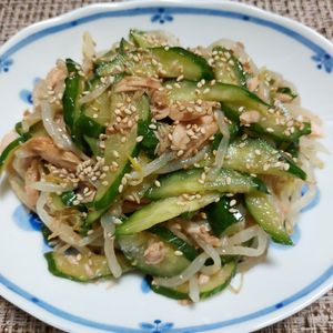 よっこの作ってみた!投稿(【もやしときゅうりの旨だれナムル】無限に美味しい…簡単副菜♡)