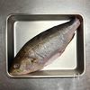 【いさきの中華風煮込み】ふんわりほぐれる白身に極上の中華だれの工程3
