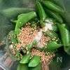 『スナップエンドウの胡麻和え』シャキシャキ食感♡3分簡単副菜の工程2