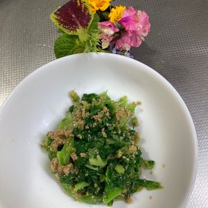 そら・ゆずの作ってみた!投稿(わさび菜のごま和え(甘くない)【糖質オフ・低糖質】)