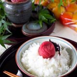 カリカリ梅 青梅の人気料理 レシピランキング 4品 Nadia ナディア