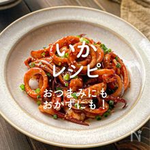 「いか」レシピ30選｜おつまみにもおかずにも！